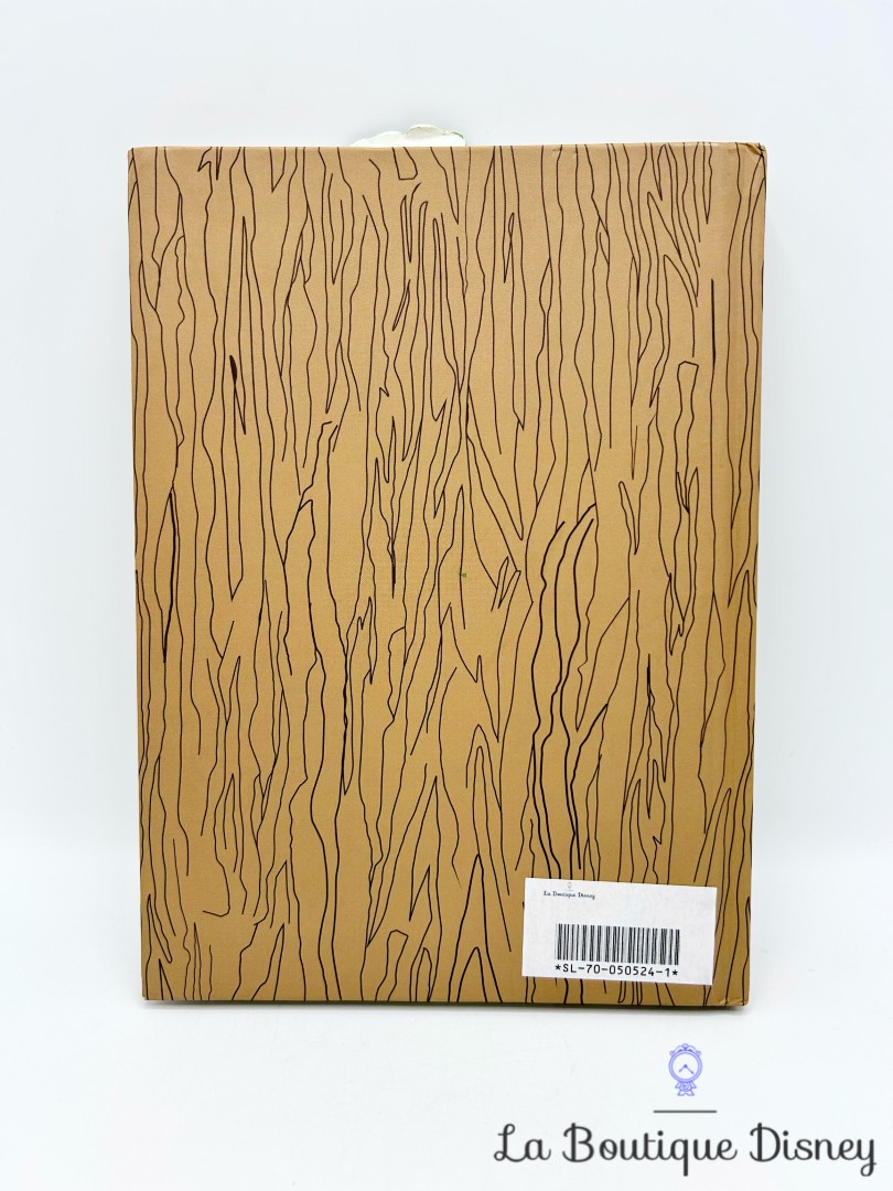 carnet-groot-les-gardiens-de-la-galaxie-marvel-disneyland-disney-bloc-note-cahier (2)
