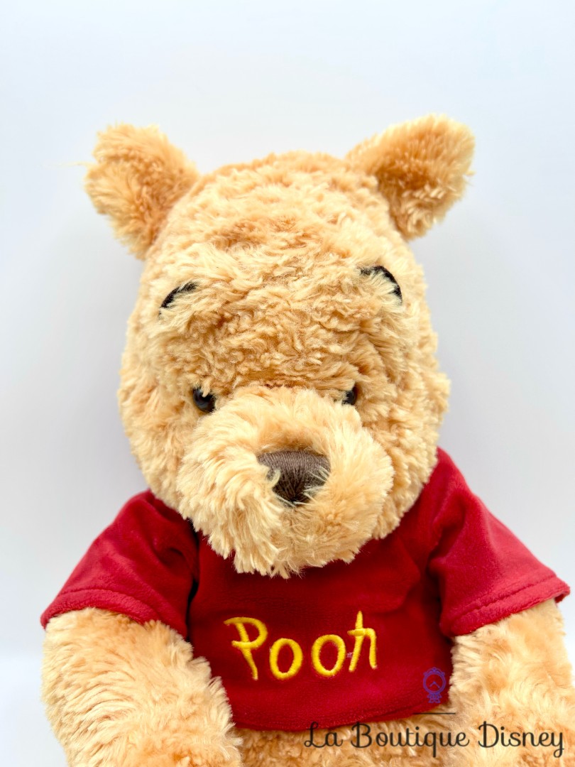 peluche-winnie-doudou-ours-disney-store-ecusson-poils-longs (6)