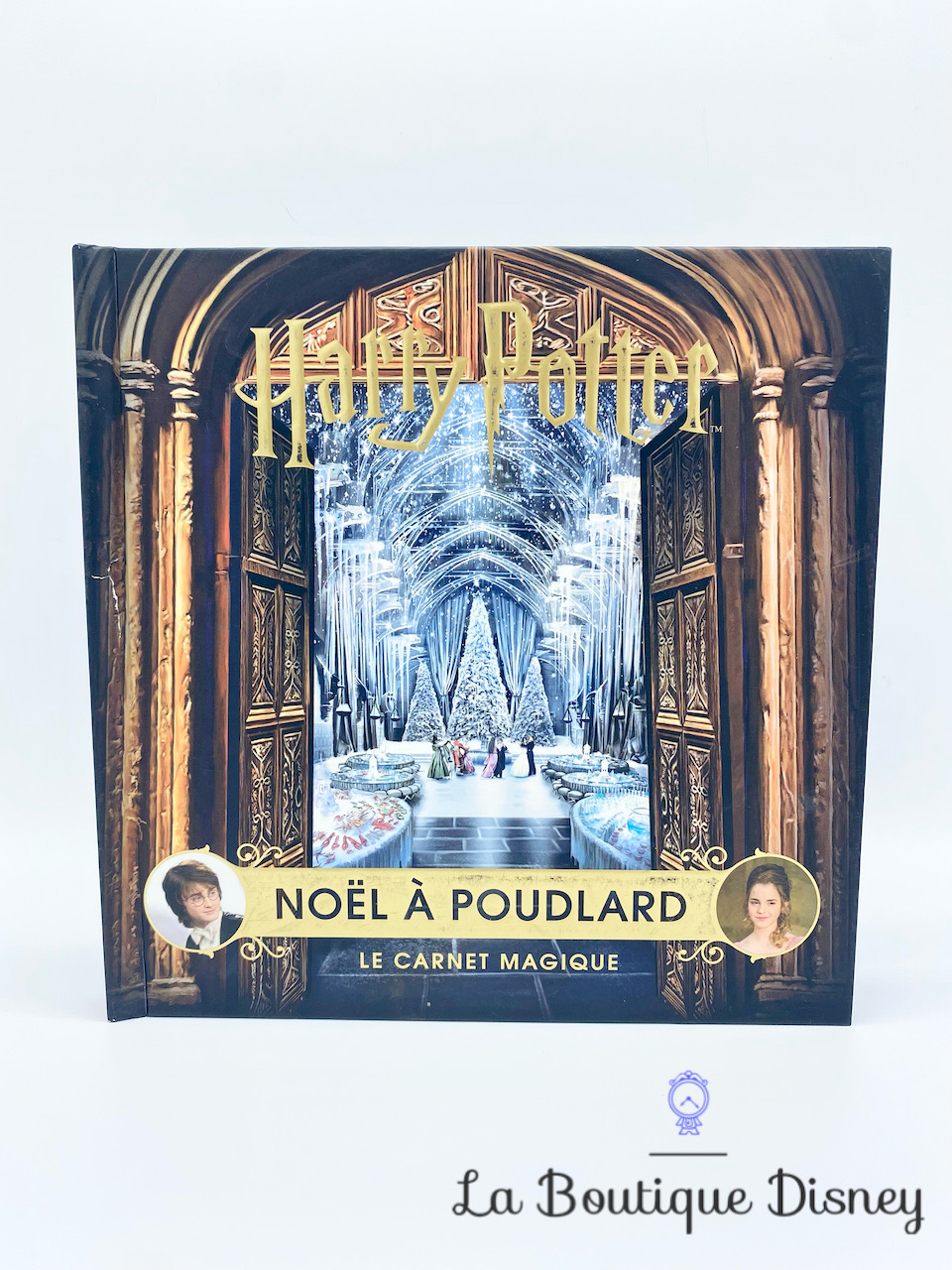 Livre Harry Potter Noël à Poudlard Le carnet Magique Wizarding World