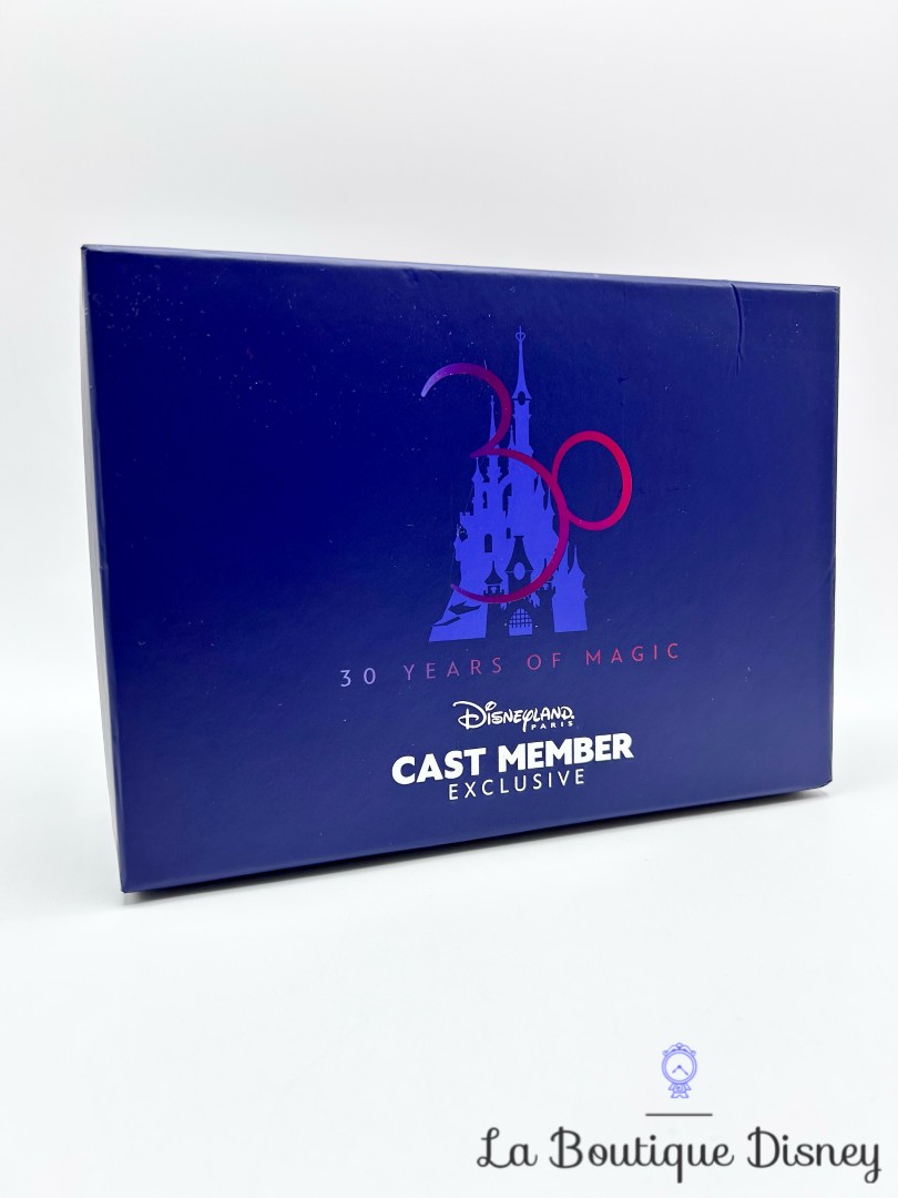 Coffret-Cast-Member-Exclusive-30-ème-anniversaire-Disneyland-Paris-30-ans-Disney-carnet-sac-lanière-pin-stylo (7)
