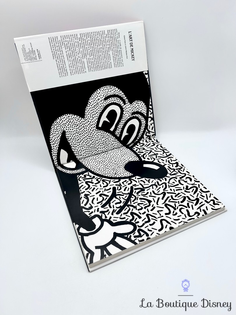 Livre-L-Art-de-Mickey-Disney-Hachette-Edition-Craig-Yoe-Janet-Morra-Yoe (1)