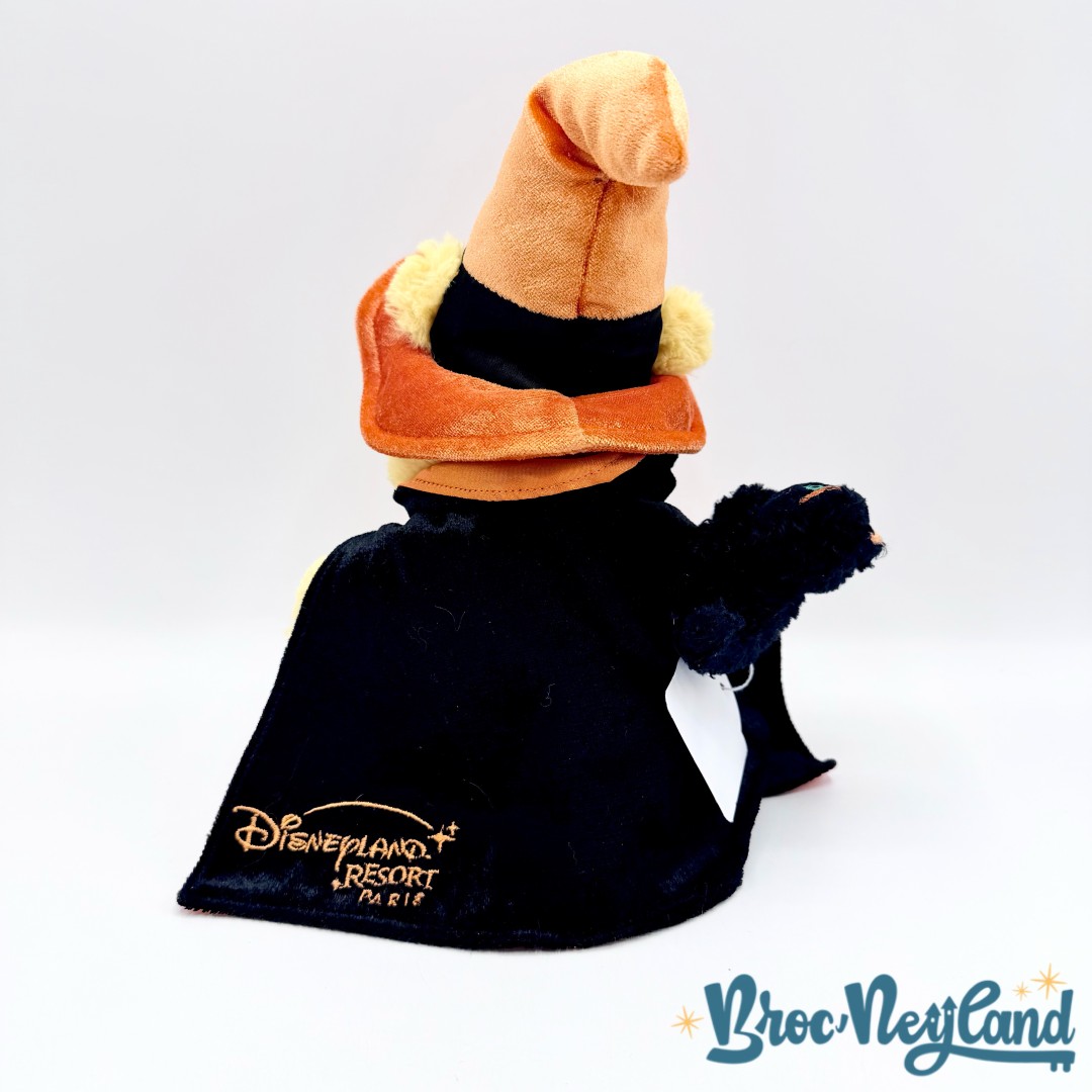 Peluche-Winnie-ourson-Halloween-Disneyland-Paris-Disney-sorcier-chat-noir-25-cm (1)