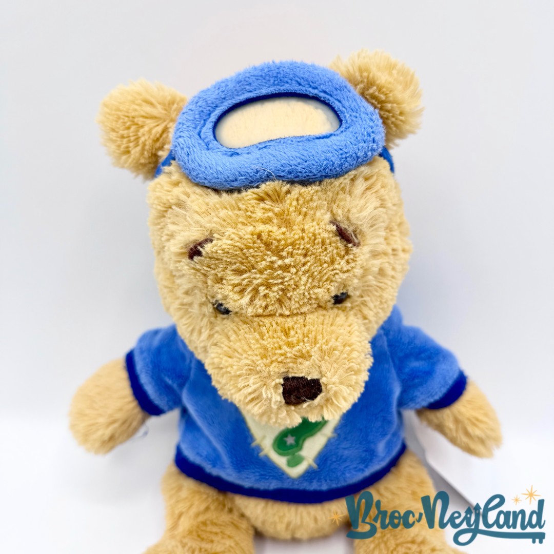 Peluche-Winnie-ourson-Enquêteur-Disney-Store-Playhouse-Mes-amis-Tigrou-et-Winnie-écusson-30-cm (5)
