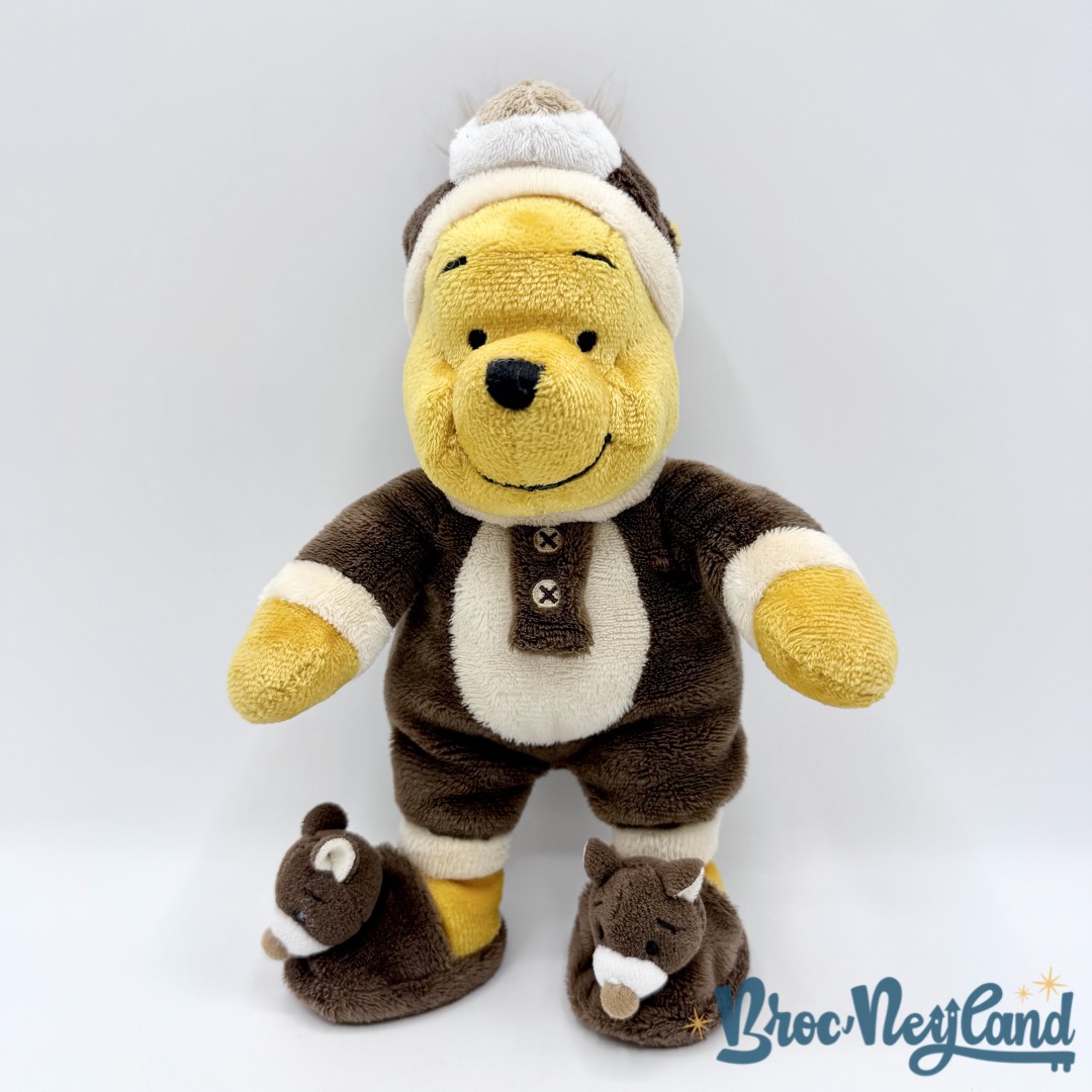 Peluche-Winnie-ourson-Pyjama-Ours-Disneyland-Resort-Paris-Disney-marron-25-cm (5)