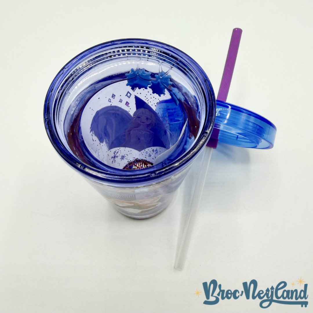 Gobelet-paille-Anna-Elsa-La-Reine-des-Neiges-2-Disney-Store-2023-verre-plastique-bleu-double-paroi (6)