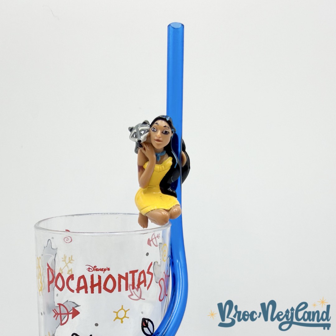 Verre-paille-Meeko-Pocahontas-Disneys-vintage-plastique (3)