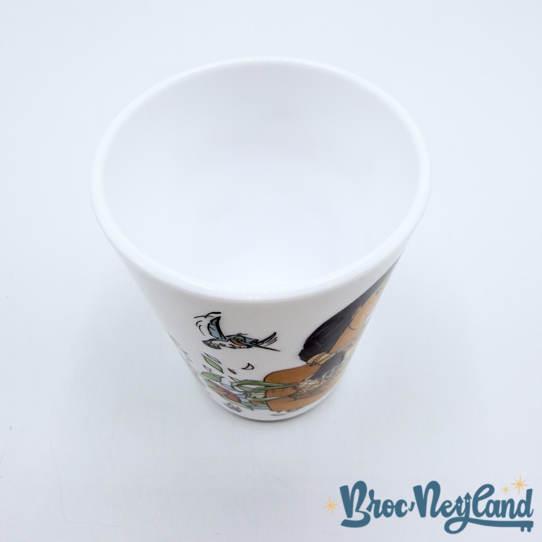 Verre-Pocahontas-Meeko-Disney-Arcopal-vintage (1)