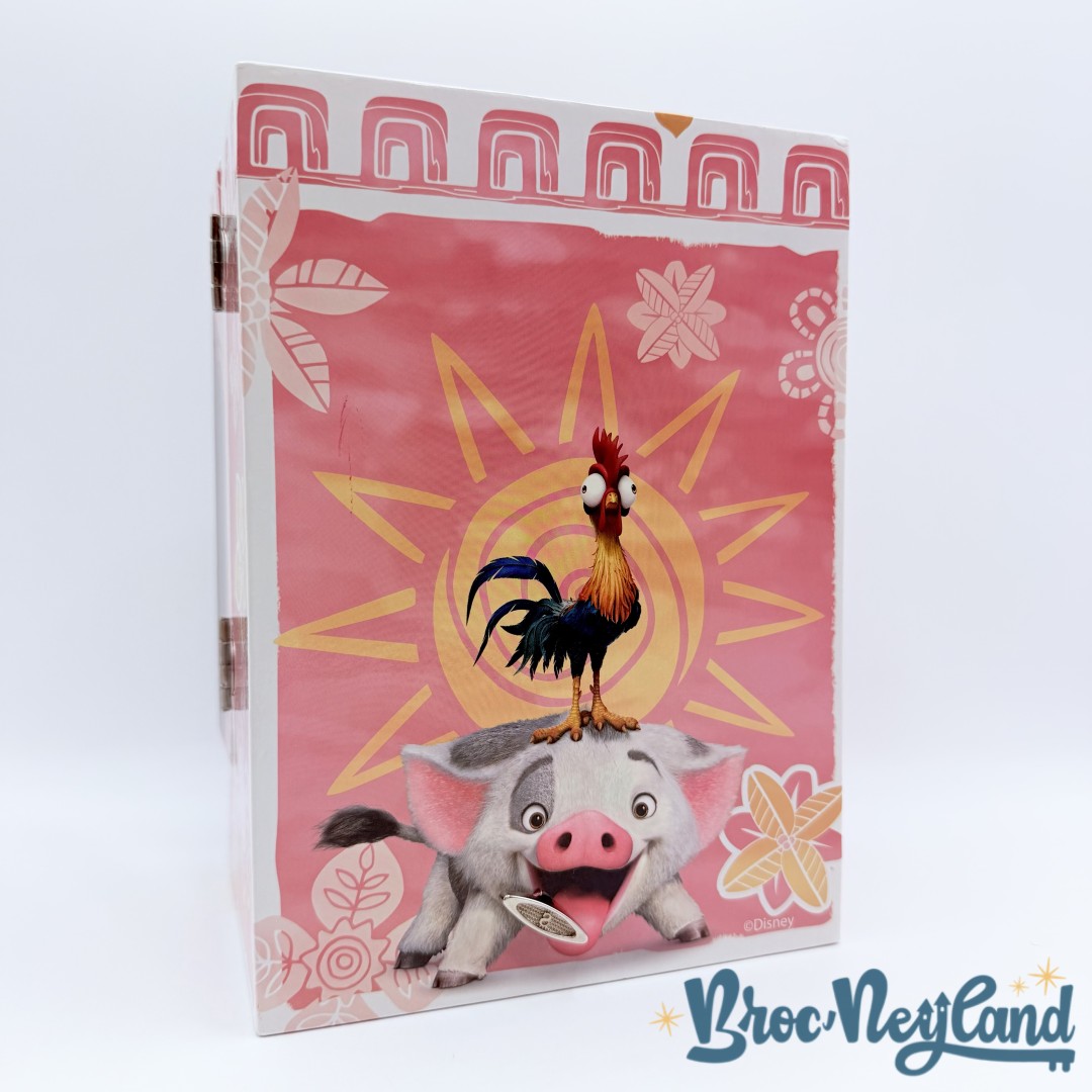 Boite-à-musique-Vaiana-The-Ocean-Connects-Us-Disney-rose-bijoux-musicale (4)