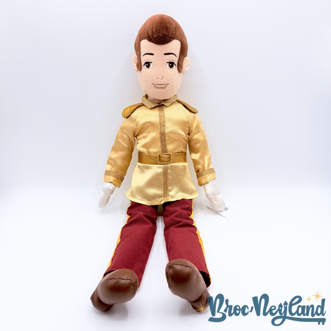 Poupée-chiffon-Prince-Cendrillon-Disney-Store-2012-peluche-prince-charmant-RARE-53-cm (3)