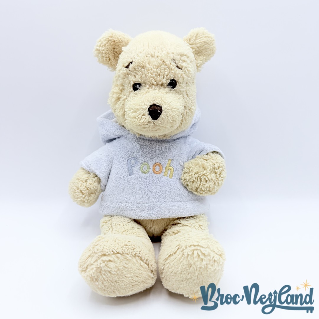 Peluche-Winnie-ourson-pull-bleu-Disney-Store-Exclusive-jaune-écusson-35-cm (4)