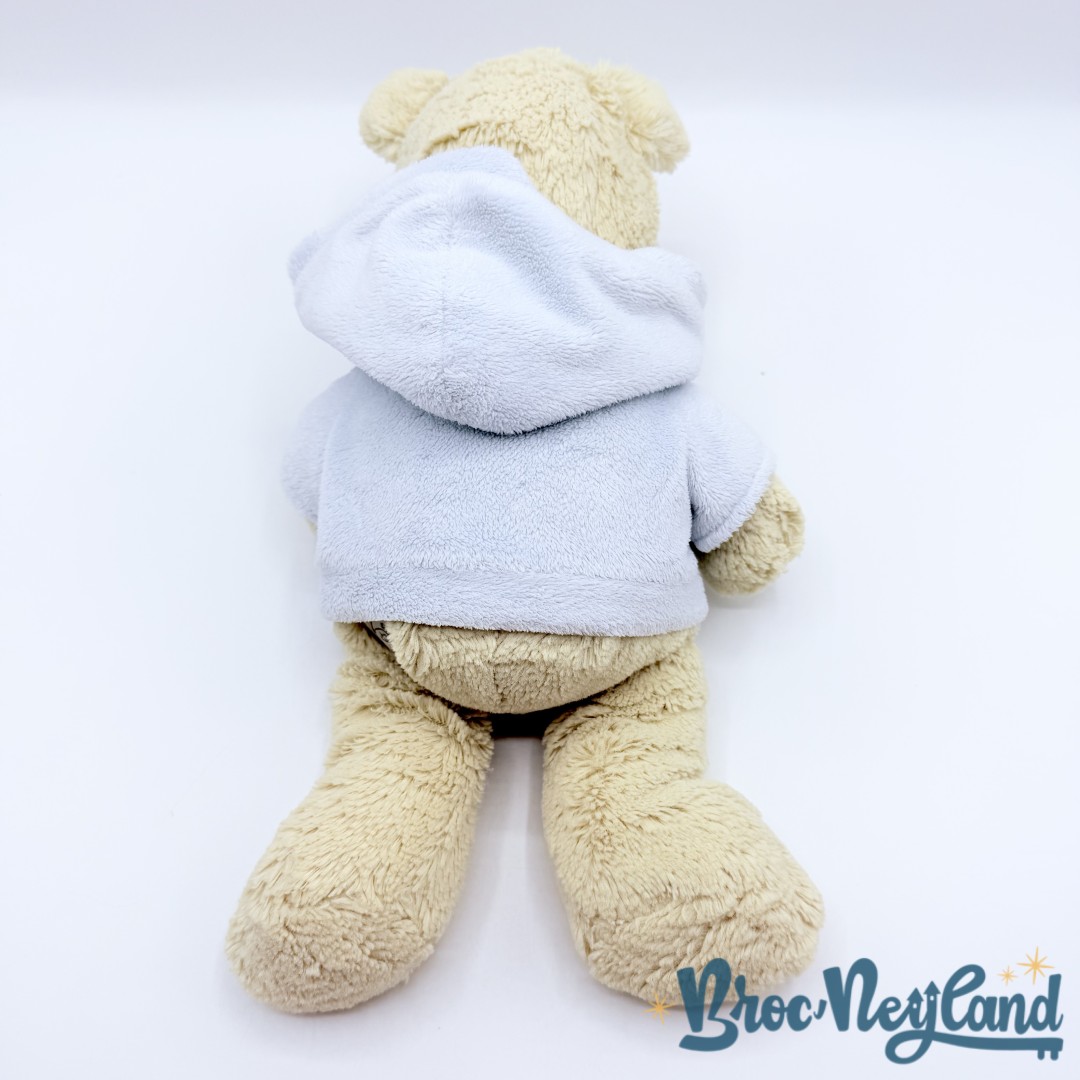 Peluche-Winnie-ourson-pull-bleu-Disney-Store-Exclusive-jaune-écusson-35-cm (2)