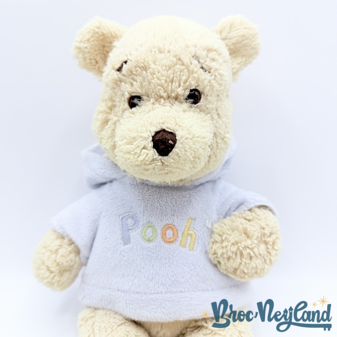 Peluche-Winnie-ourson-pull-bleu-Disney-Store-Exclusive-jaune-écusson-35-cm (3)