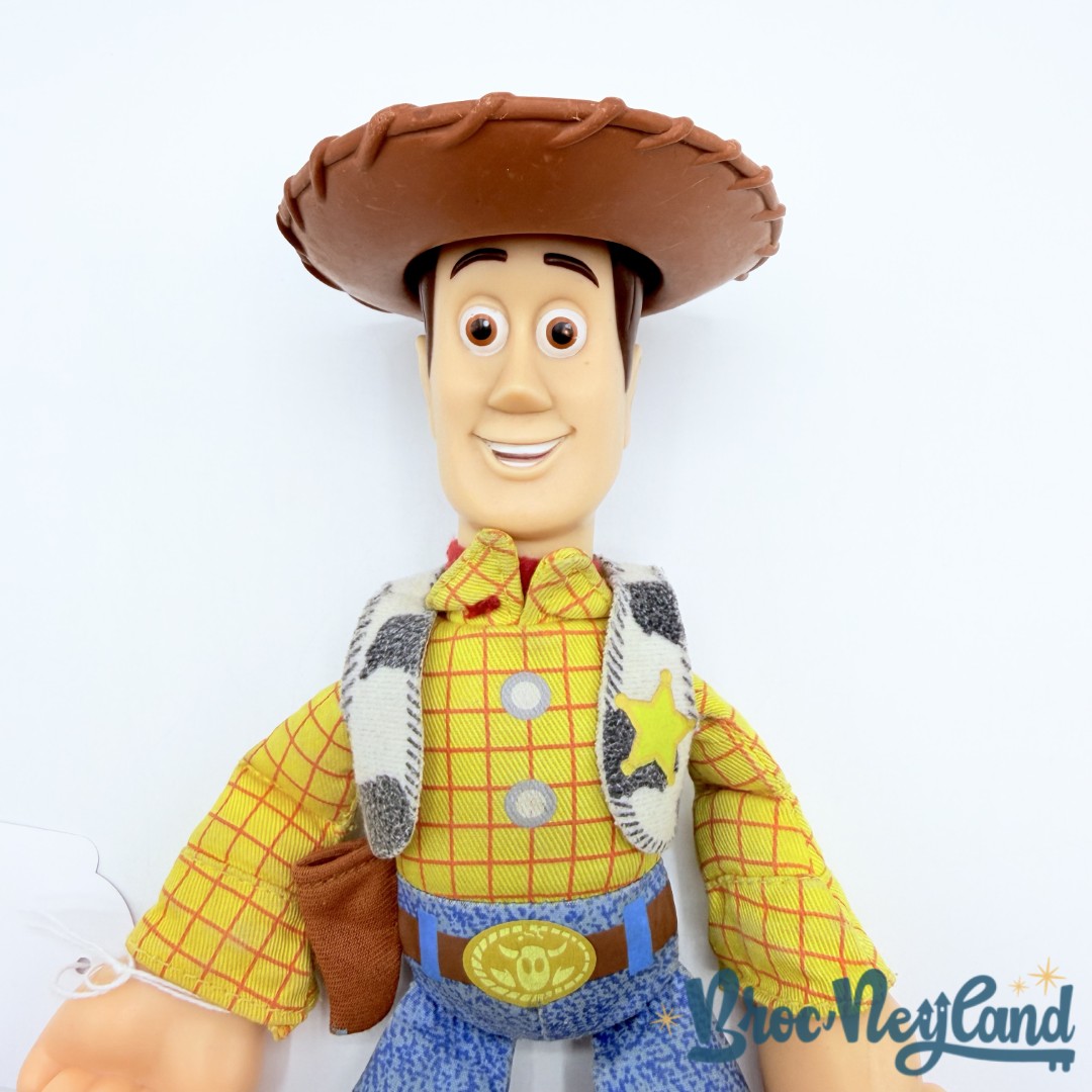 Jouet-Poupée-Woody-Action-Pal-Disney-Hasbro-2006-Toy-Story-and-Beyond-cow-boy-26-cm (2)