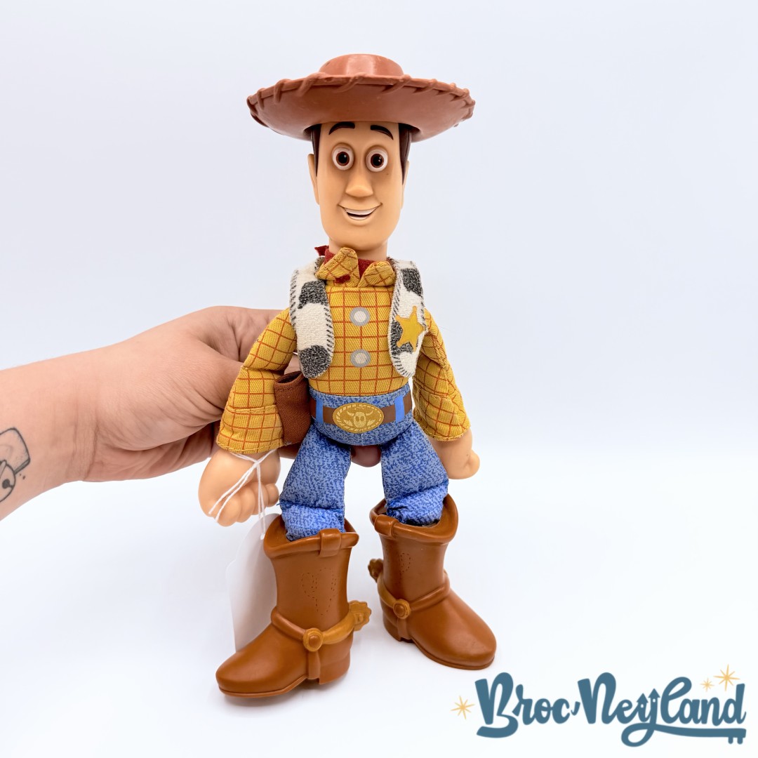 Jouet-Poupée-Woody-Action-Pal-Disney-Hasbro-2006-Toy-Story-and-Beyond-cow-boy-26-cm (5)