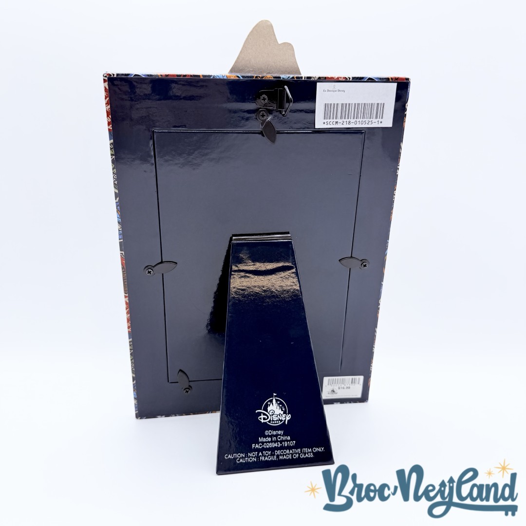 Cadre-photo-Expedition-Everest-Animal-Kingdom-Walt-Disney-World-2019-Attraction-logo-carton (1)