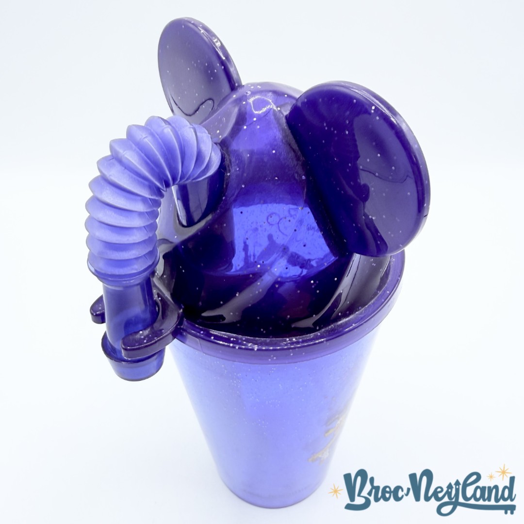 Gobelet-paille-Mickey-et-ses-amis-30ème-Anniversaire-Disneyland-Paris-30-ans-Disney-verre-plastique-bleu (4)