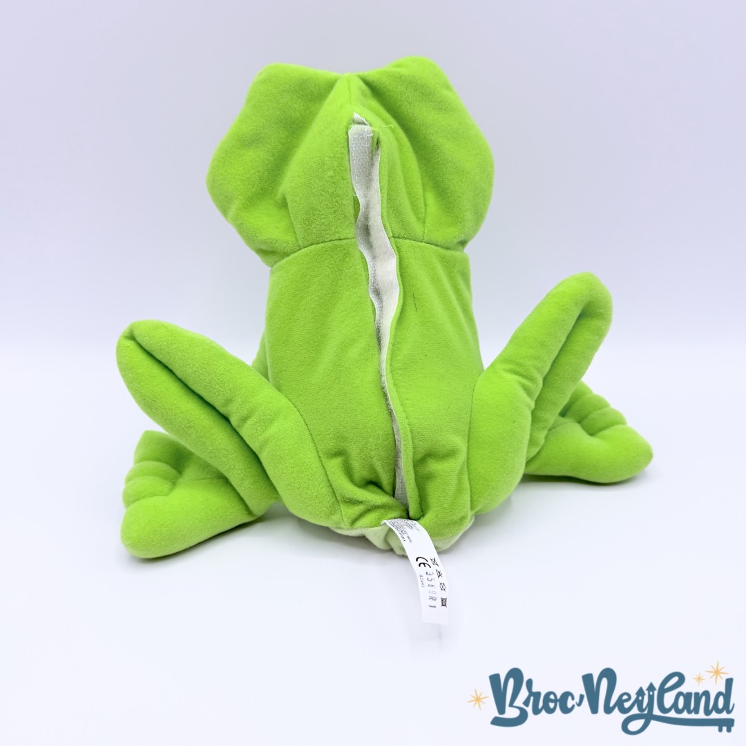 Poupée-Tiana-transformable-La-Princesse-et-la-Grenouille-Disney-Mattel-2009-peluche-Transforming-Doll-Princess-to-frog (1)