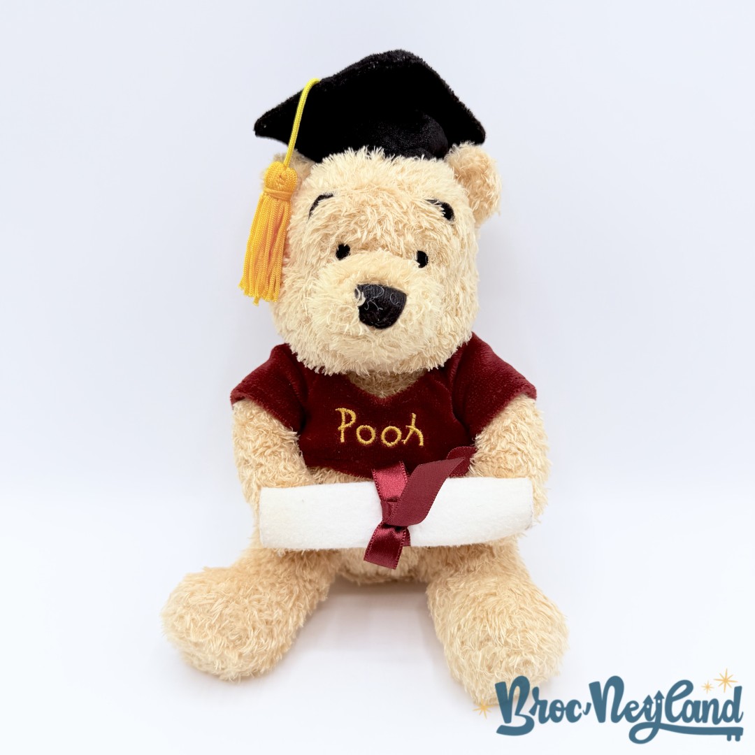 Peluche-Winnie-ourson-Diplôme-Disney-Store-Graduation-Pooh-collection-24-cm (2)