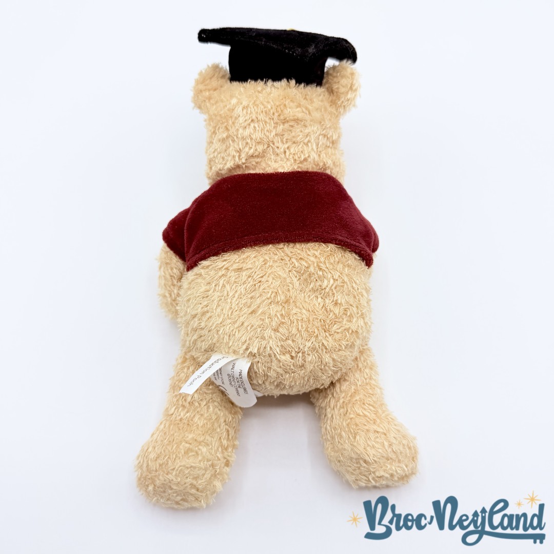Peluche-Winnie-ourson-Diplôme-Disney-Store-Graduation-Pooh-collection-24-cm (1)