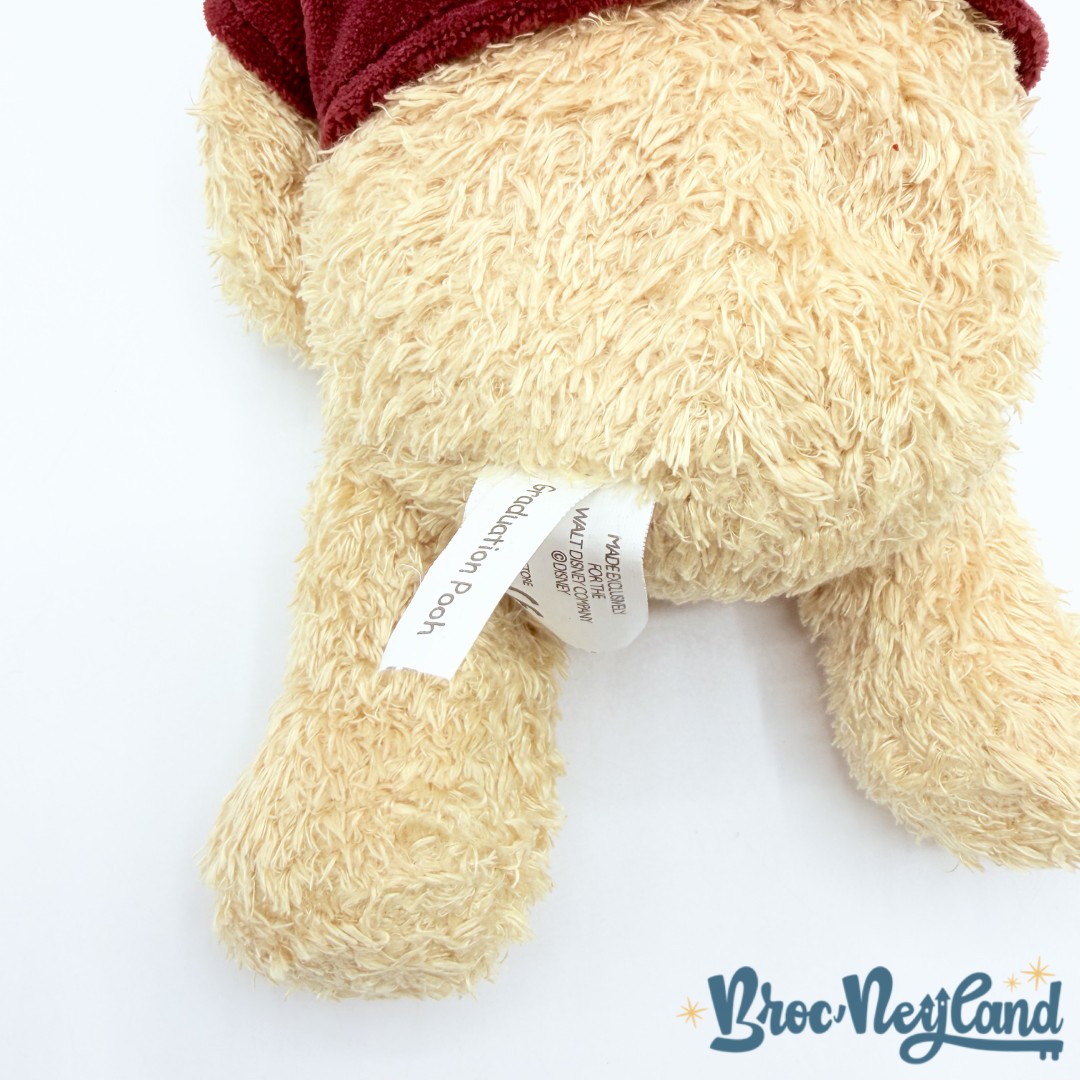 Peluche-Winnie-ourson-Diplôme-Disney-Store-Graduation-Pooh-collection-24-cm (4)