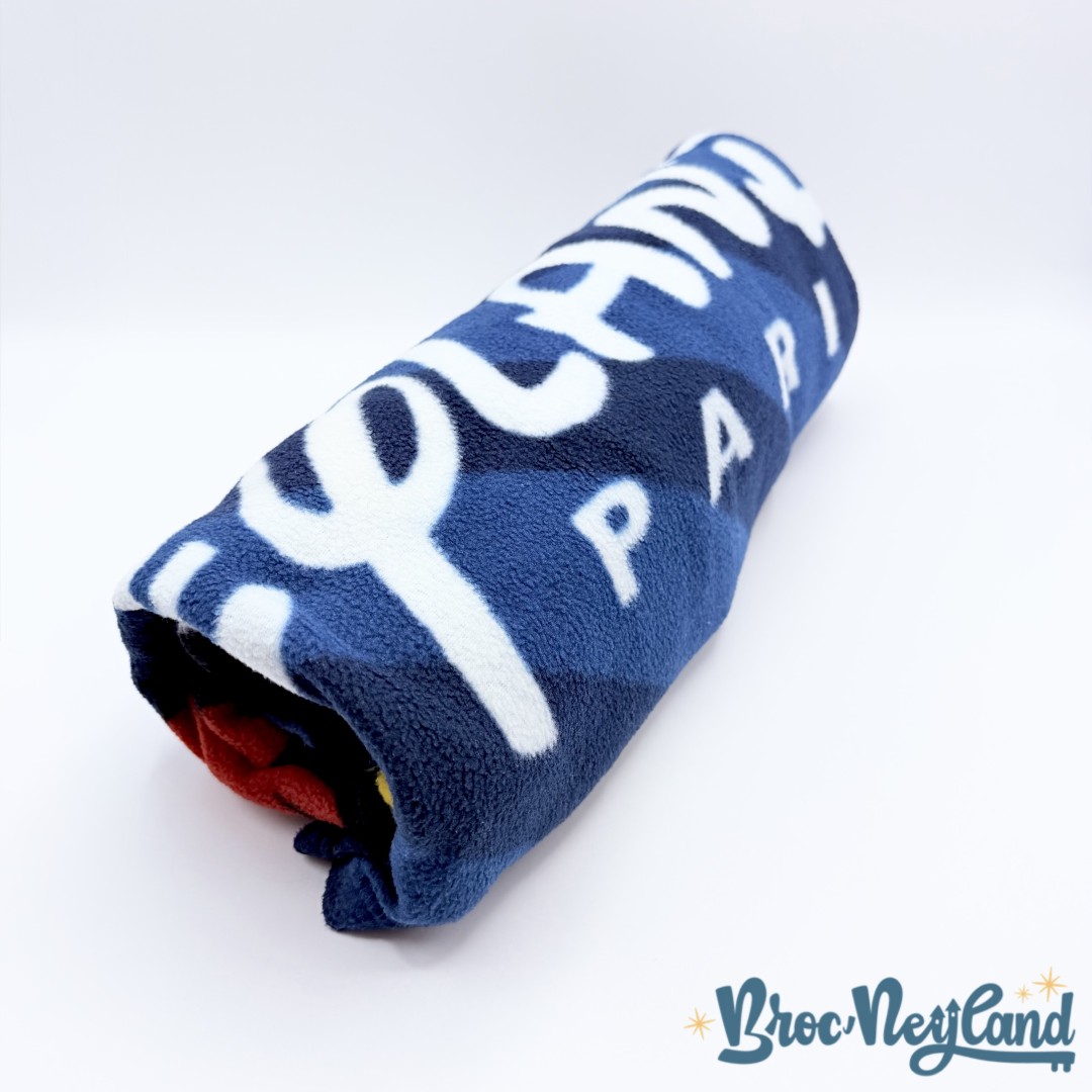 Couverture-Plaid-Mickey-et-ses-amis-Disneyland-Paris-2019-Disney-polaire-bleu-120x150-cm