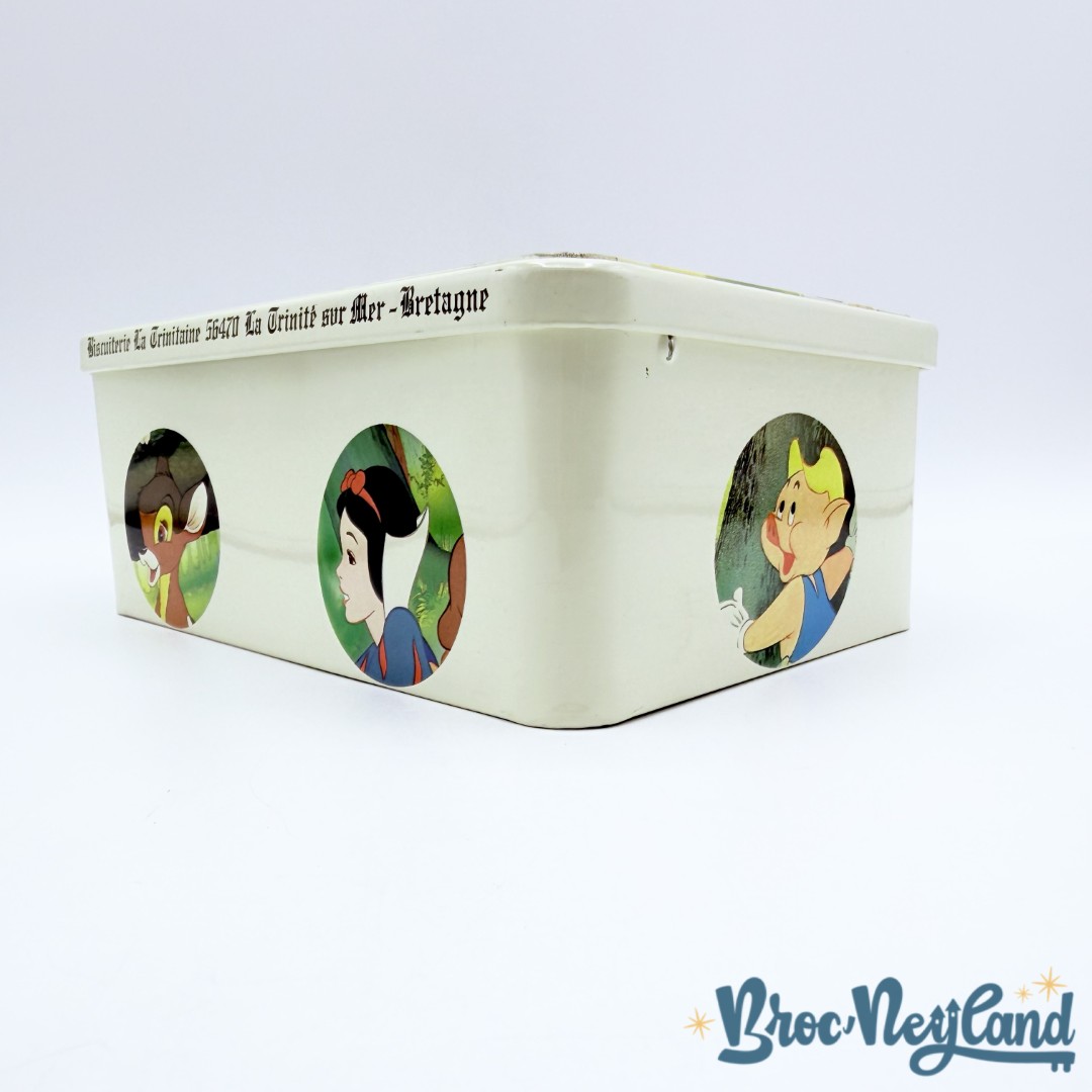 Boite-métal-Mickey-Minnie-Dingo-Disney-La-Trinitaine-gâteaux-biscuits-vintage (1)