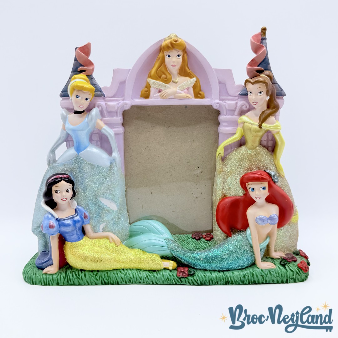 Cadre-photo-Château-Princesses-résine-Disneyland-Paris-Disney-paillettes (3)
