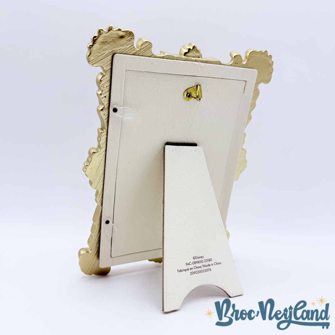 Cadre-photo-disneyland-Hotel-2023-Disney-dorures-doré (3)