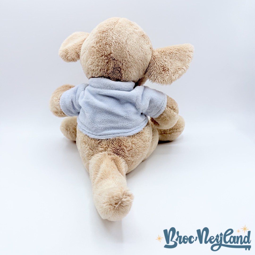 Peluche-Petit-Gourou-Disney-Store-2010-Winnie-ourson-Kangourou-Roo-écusson-36-cm (1)