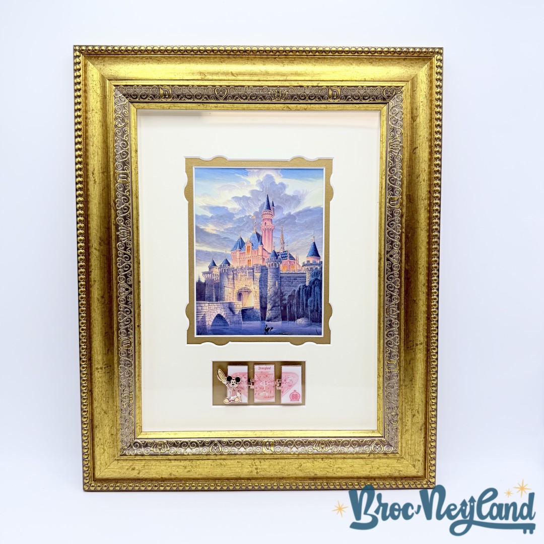 Cadre-Sleeping-Beauty-Castle-disneyland-Resort-68th-Anniversary-2023-USA-pin-display-frame-RARE (4)
