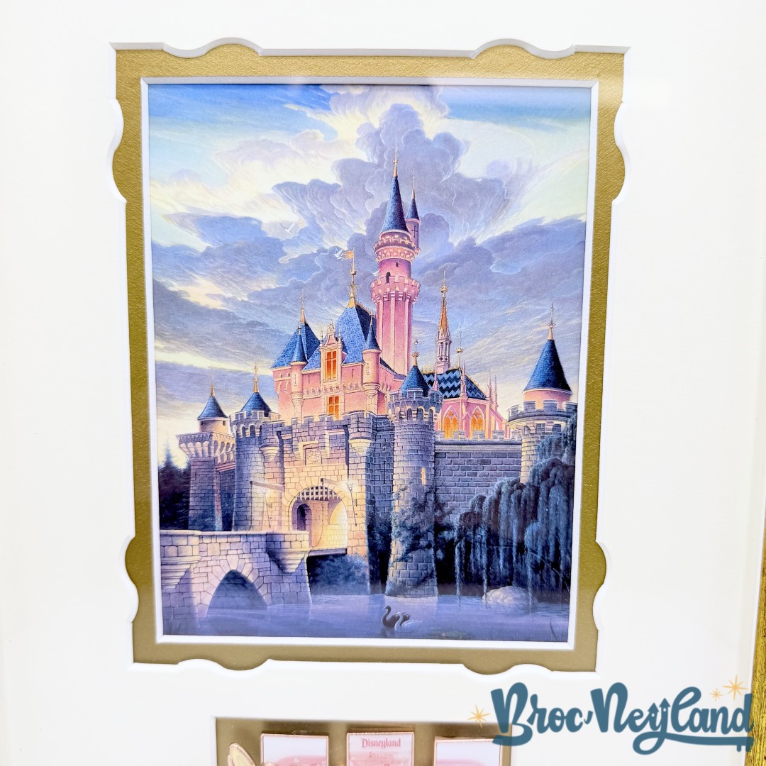Cadre-Sleeping-Beauty-Castle-disneyland-Resort-68th-Anniversary-2023-USA-pin-display-frame-RARE (3)