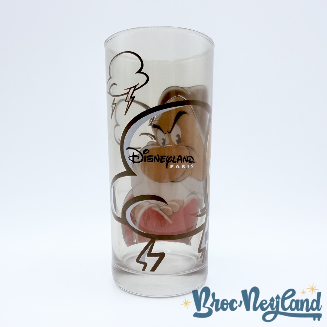 Verre-Grincheux-Portrait-Blanche-Neige-et-les-sept-nains-Disneyland-Paris-Disney-marron (2)