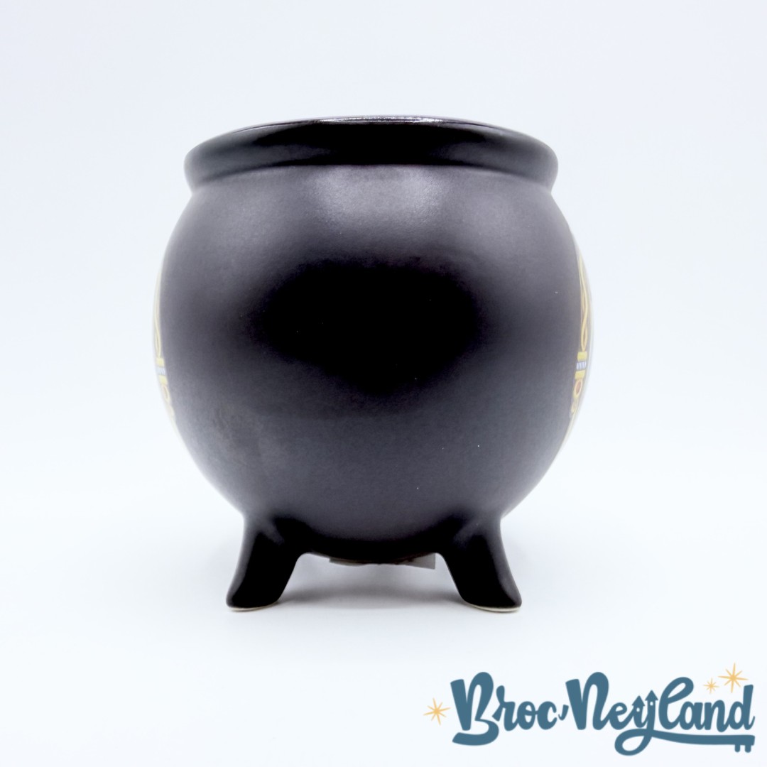 Tasse-Chaudron-Reine-Sorcière-Disneyland-2019-mug-Disney-Blanche-Neige-Evil-Queen-noir (2)