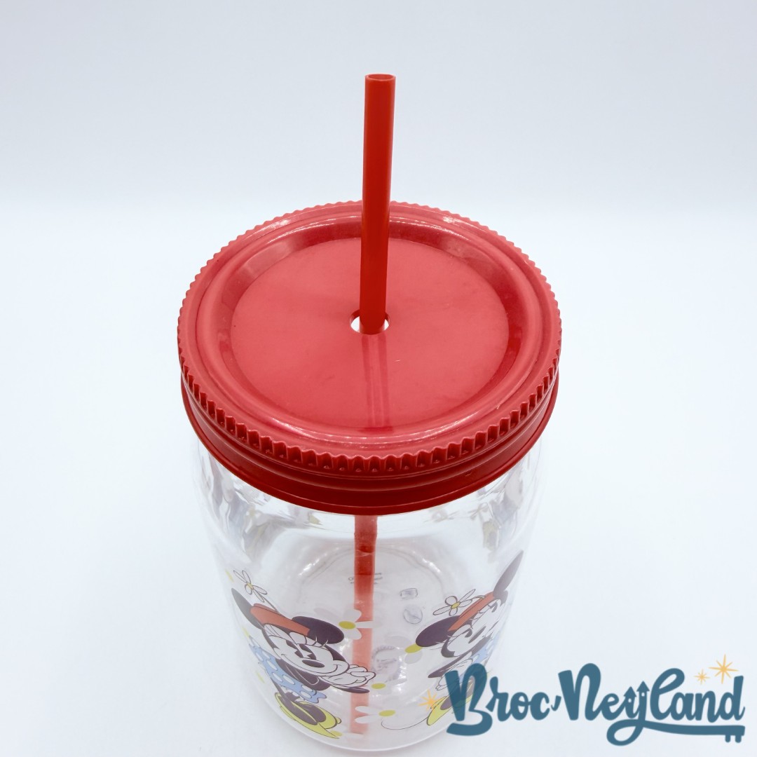Gobelet-paille-Minnie-Mouse-rétro-vintage-Disney-Store-verre-plastique-fleurs (7)