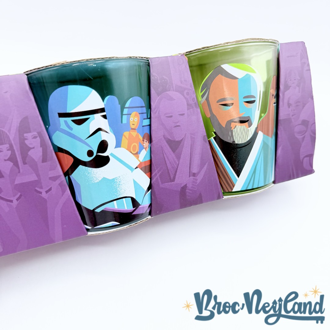 Coffret-Verres-Star-Wars-Jeff-Granito-May-the-4th-Disney-Store-2023-Sous-les-deux-soleils (10)