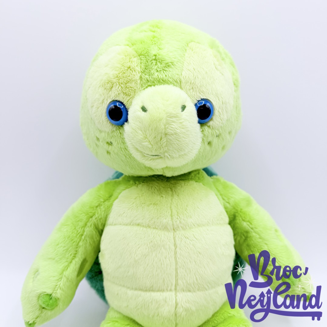 Peluche-OluMel-The-Disney-Bear-Tokyo-Disney-Sea-Japon-tortue-verte-36-cm (3)