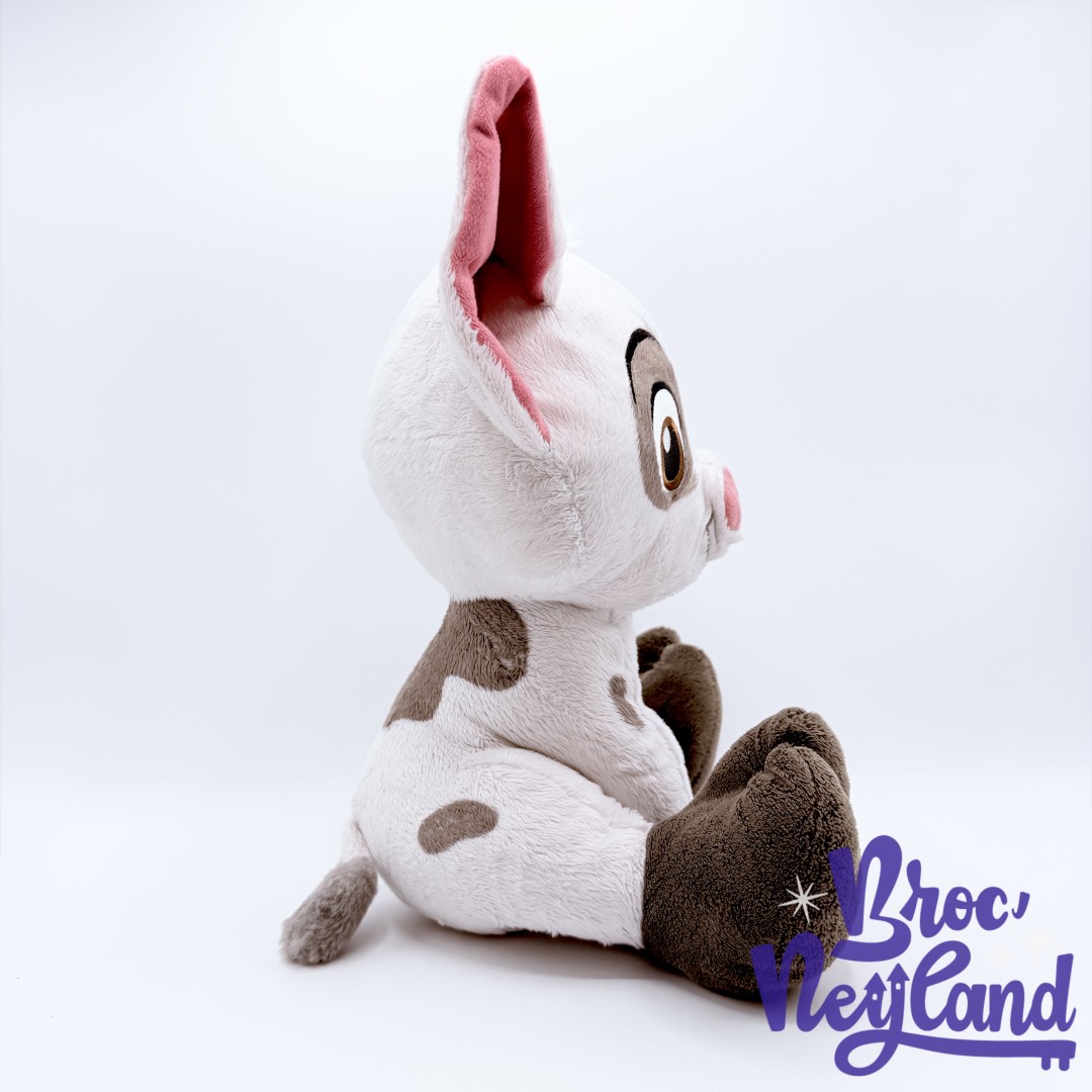 Peluche-Pua-Big-Feet-Disney-Parks-2022-Disneyland-Vaiana-cochon-blanc-32-cm (2)