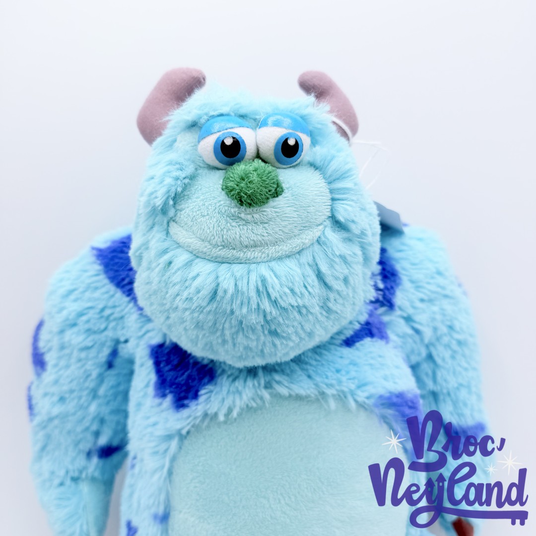 Peluche-Sulli-Monstres-et-Cie-Disneyland-Paris-Disney-Sully-bleu-violet-35-cm (2)