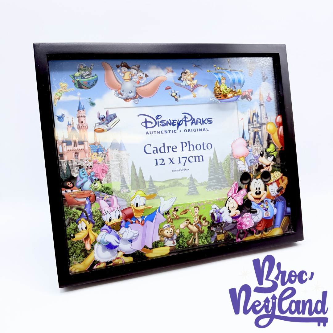 Cadre-photo-Mickey-et-ses-amis-Disney-Parks-Disneyland-Paris-verre-relief-3D (1)