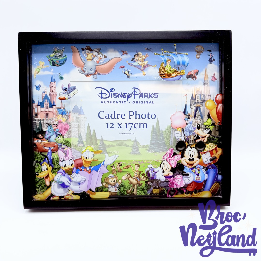 Cadre-photo-Mickey-et-ses-amis-Disney-Parks-Disneyland-Paris-verre-relief-3D (4)