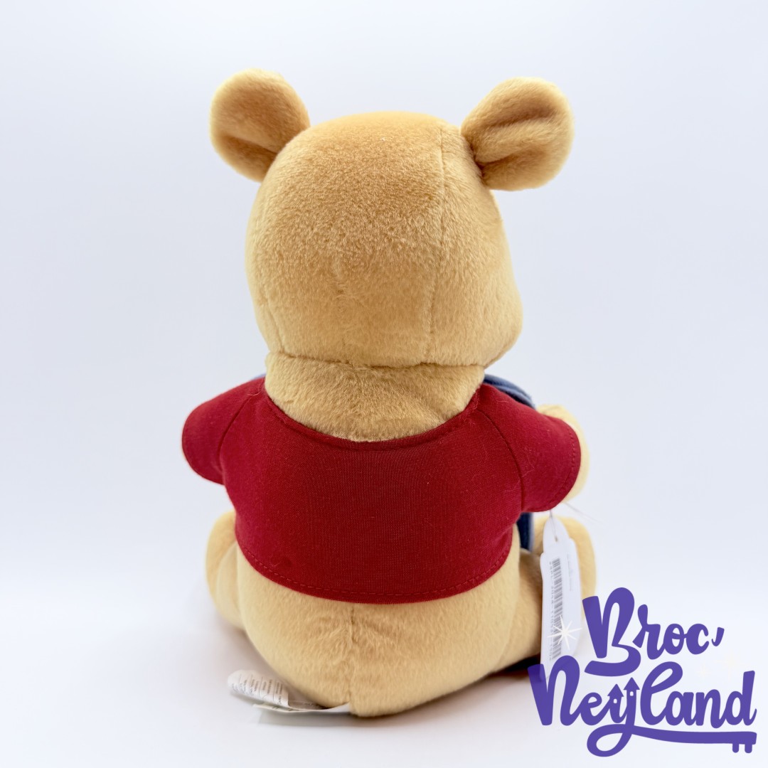 Peluche-Cadre-Winnie-ourson-Hunny-pot-de-miel-Disney-Store-photo-bleu-28-cm (2)