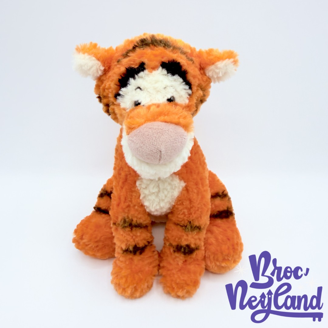 Peluche-Tigrou-Disneyland-Walt-Disney-World-USA-Winnie-ourson-tigre-orange-24-cm (5)