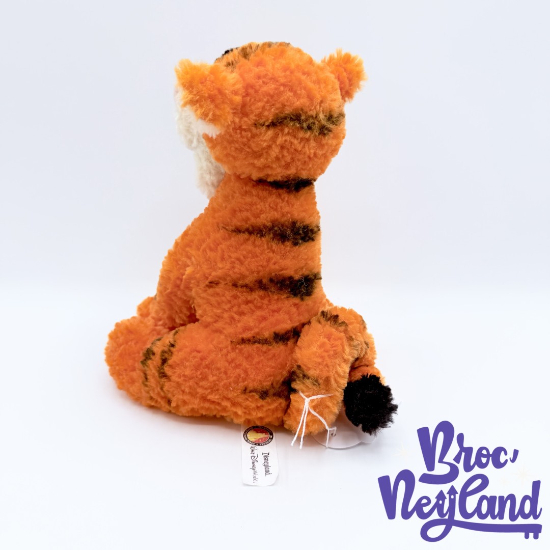 Peluche-Tigrou-Disneyland-Walt-Disney-World-USA-Winnie-ourson-tigre-orange-24-cm (3)