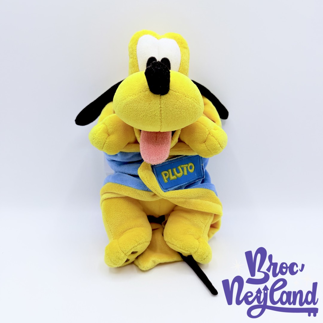 Peluche-Pluto-Disney-Babies-Disneyland-chien-jaune-couffin-couverture-bleu (4)