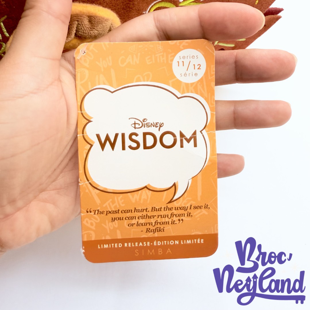 Peluche-Simba-Disney-Wisdom-Series-11-of-12-Édition-limitée-Disney-Store-2019-Le-Roi-Lion-jaune-40-cm (6)