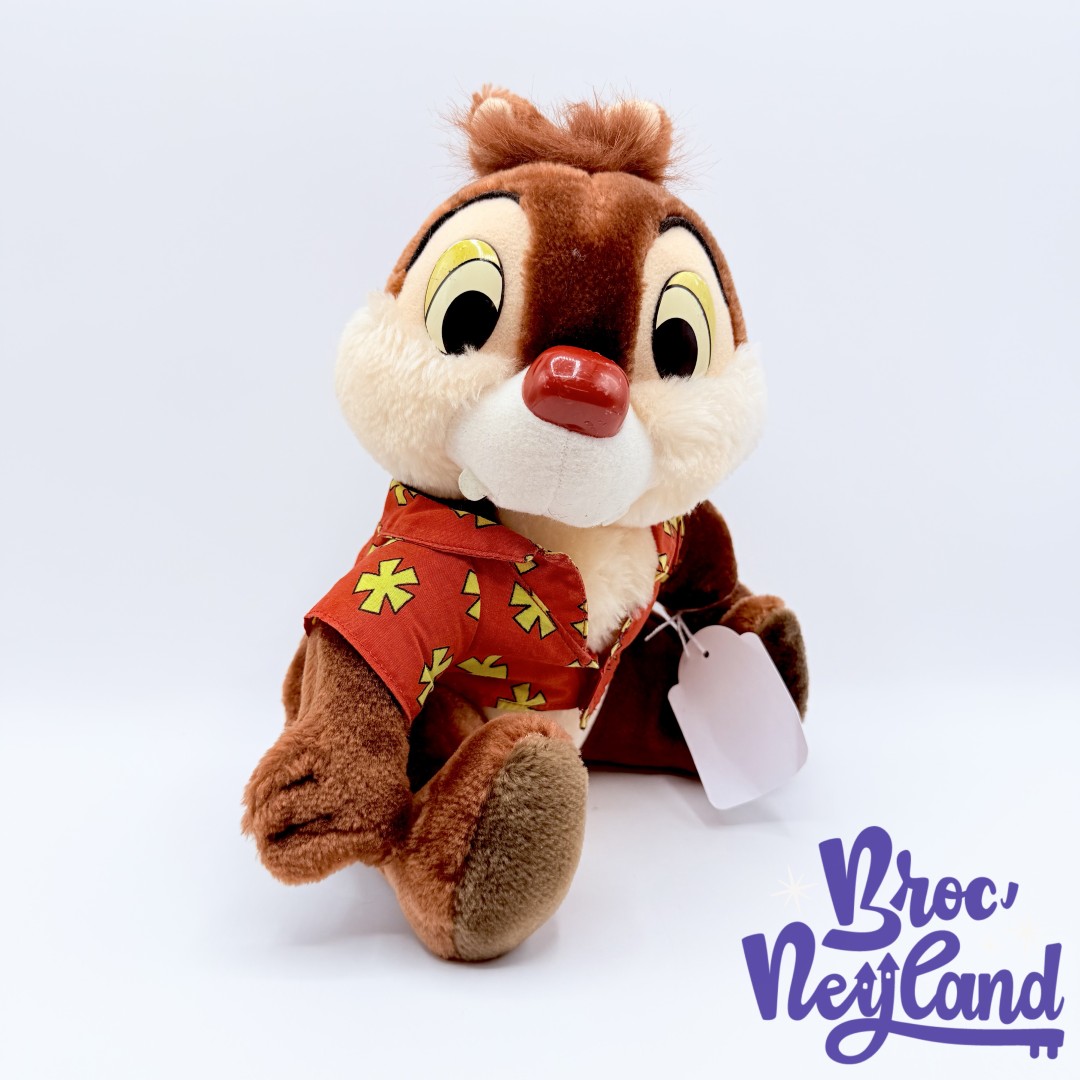 Peluche-Tac-Rescue-Rangers-Euro-Disney-Disneyland-Paris-vintage-Tic-et-Tac-écureuil-chemise-explorateur-28-cm (3)