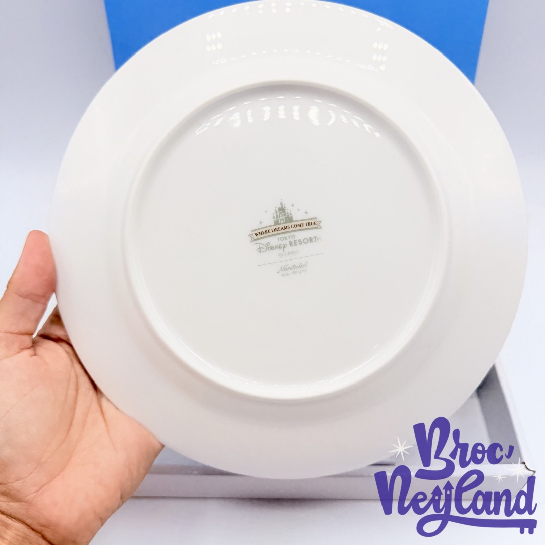 Assiette-Where-Dreams-Come-True-Tokyo-Disney-Resort-Japon-collection-céramique (1)