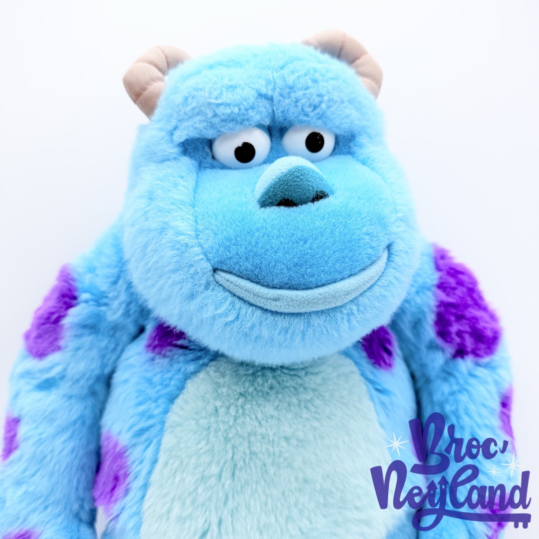 Peluche-Range-Pyjama-Sulli-Monstres-et-Cie-Disney-Jemini-Sully-monstre-bleu-violet-40-cm (2)
