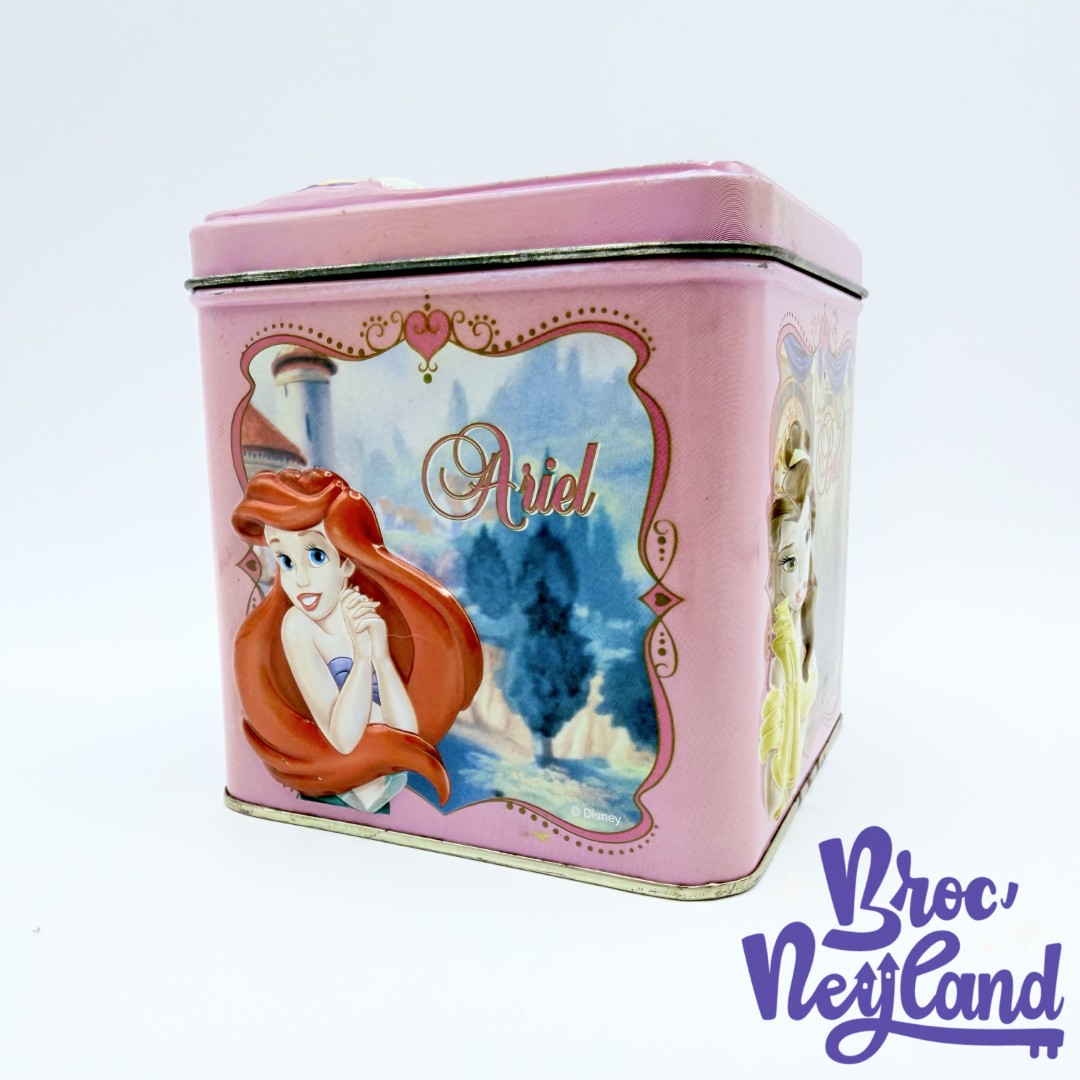 Boite-métal-Princesses-Disneyland-Resort-Paris-Disney-rose-vintage (2)