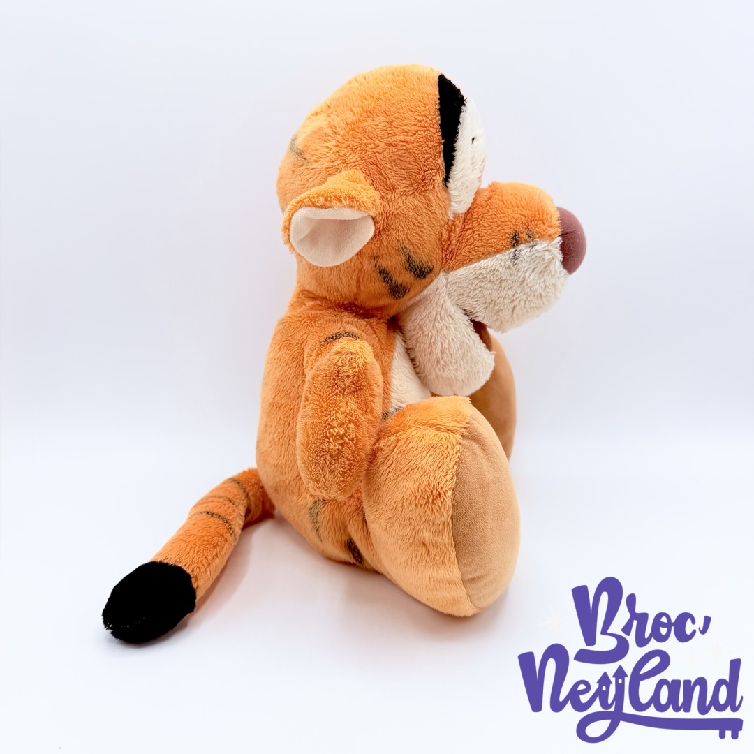 Peluche-Tigrou-Big-Feet-Disney-Parks-2017-Disneyland-Paris-Winnie-ourson-25-cm (2)